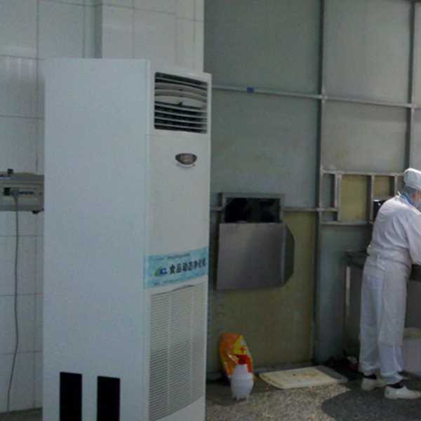 日照食品正负离子空气杀菌器